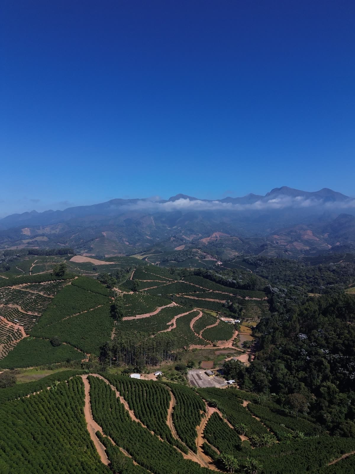 Lavoura de café nas montanhas do Caparaó, em Irupi/ES